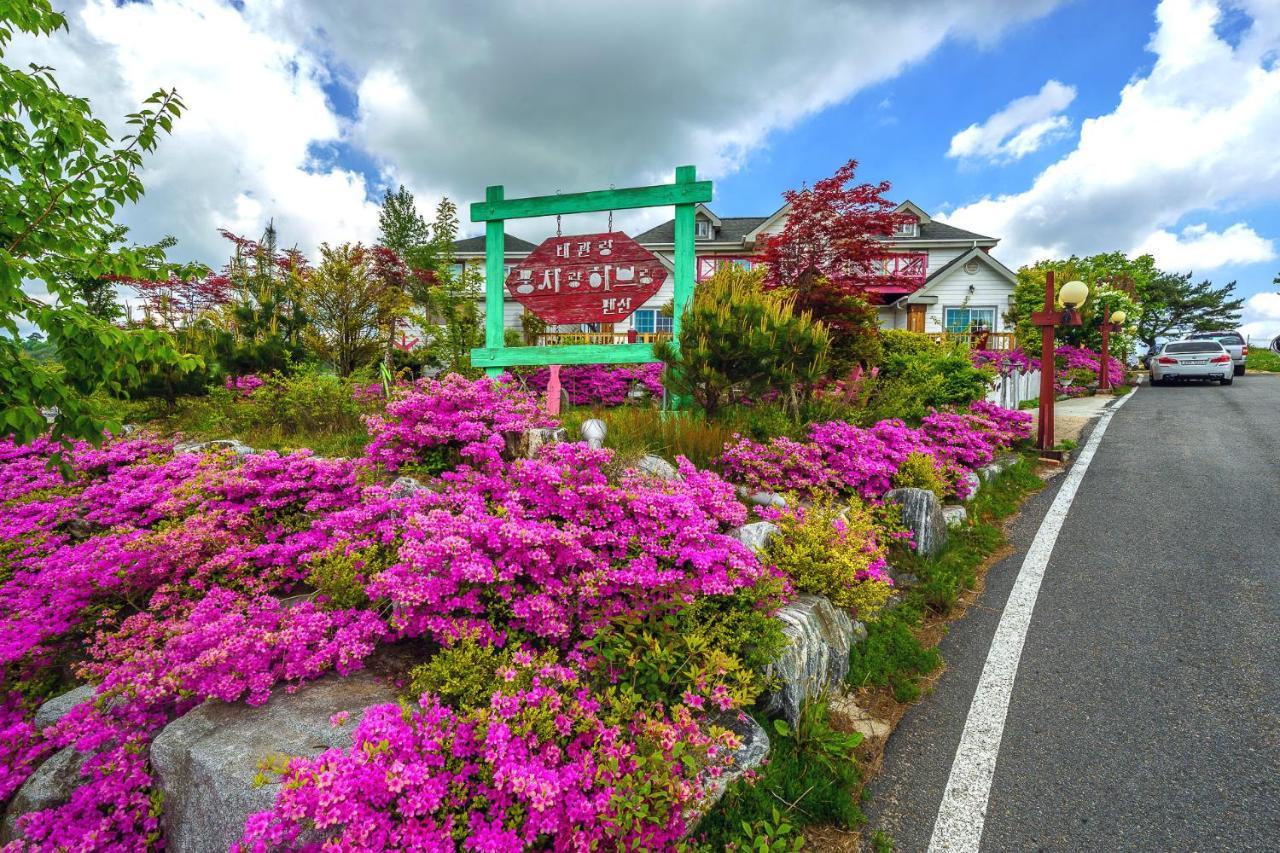 Pungcha & Herb Pension Pyeongchang Eksteriør billede